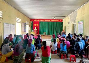 Vietnam Reviews Legal Support For Small Enterprises