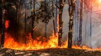 AI, satellites to help with wildfire detection