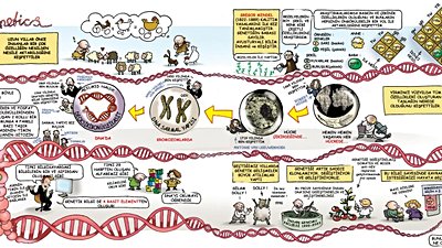 Genetik Biliminin Gelişimi