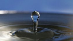 Kapımıza Dayanan Tehlike