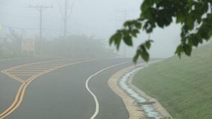 Dense Fog Advisory Issued For Dolj County