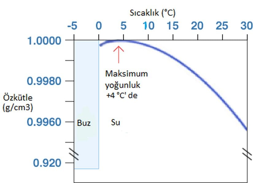 Grafikte de görüldüğü gibi su moleküllerinin yoğunluğunun en büyük olduğu sıcaklık +4 °C’ dir.