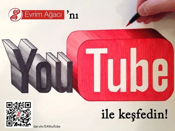 Evrim Ağacı'nı YouTube'da takip edin.