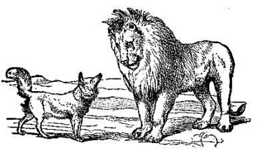 Fox and Lion