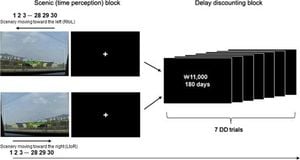 Visual Experience Alters Time Perception And Impulsivity In Decision-Making