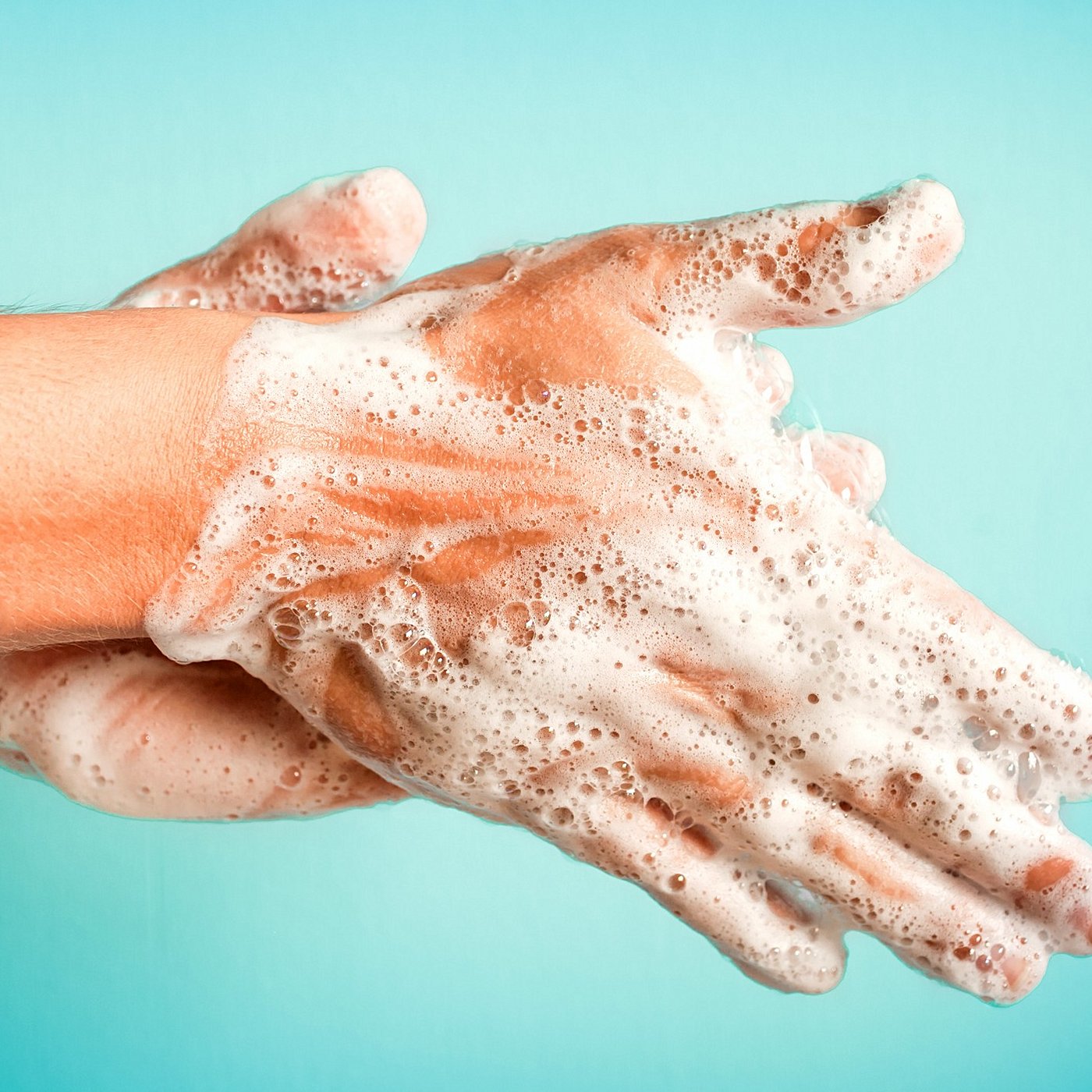 Evrim Ağacı ile Bilime Dair Her Şey!