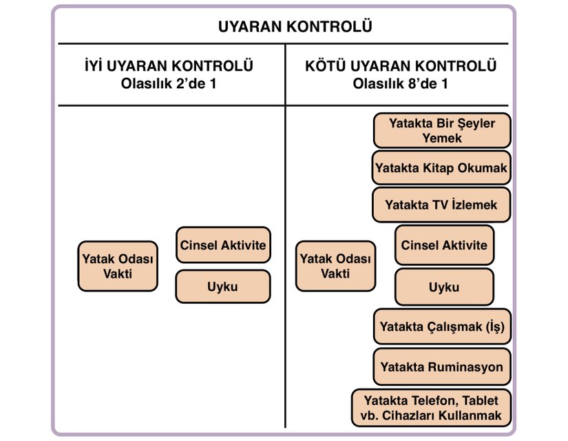 Şema, uyaran kontrolüne ilişkin araçsal koşullanma perspektifini temsil etmektedir. Sol çerçevede, yatak odası uyku ve cinsel aktivite ile sıkı bir şekilde ilişkilidir. Burada ortogonallik ve olayların eşit olasılığı göz önüne alındığında, yatak odasının uyku ile ilişkilendirilme olasılığı 2'de 1'dir. Sağ çerçevede, yatak odası artık uyku ve cinsel aktivite ile güçlü bir şekilde ilişkili değildir, burada ortogonallik ve olayların eşit olasılığı göz önüne alındığında, yatak odasının uyku ile ilişkilendirilme olasılığı 8'de 1'dir. Uyaran kontrolsüzlüğünün tedavideki anlamı, cinsel aktivite haricindeki uyku dışı çağrışımların gönüllü olarak ortadan kaldırılmasının (dolayısıyla araçsal koşullanmanın) yatak odasında uykunun gerçekleşme olasılığını artırması gerektiğidir.
