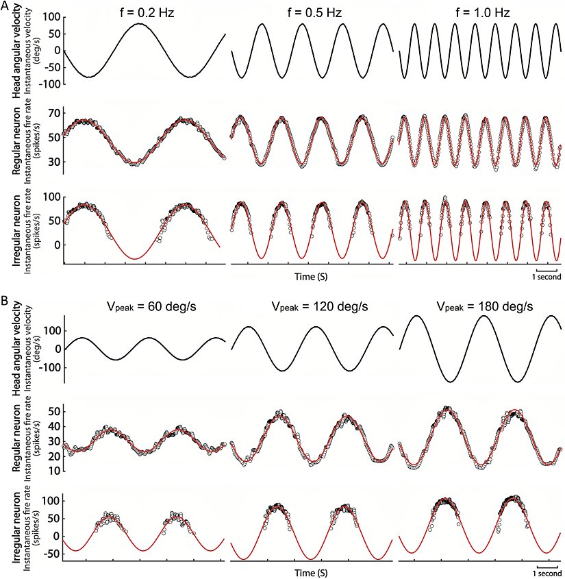 Nonlineerlik ve Sinüs Dalgası