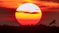 Summer solstice 2025: What to know about the 1st day of summer and 'longest day of the year'
