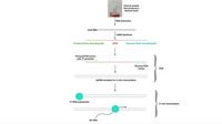 Preparation of robust synthetic control samples and their use in a metatranscriptomic clinical test - Scientific Reports