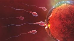 Sperm Kıyameti ve Erkek Doğurganlığı Krizi: Sperm ve Üreme Kapasitesi Giderek Azalan ve Y Kromozomu Kısalan Erkekler Yok Olabilir mi?