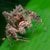 Denizata Görgülü