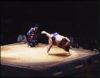 Sumo wrestler misses bus after fight at Royal Albert Hall and lime bikes home