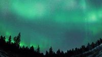 Stunning Aurora Illuminates Alberta's Night Sky