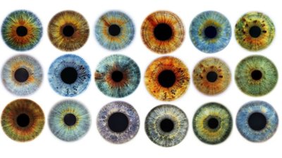İnsan Göz Renklerinin Evrimi