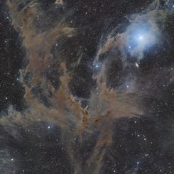 Chamaeleon Dark Nebulas