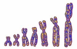 DNA'mızdaki Gizem Çözülüyor: Afrika'daki "Hayalet Soy" Genomumuzda Nasıl İz Bıraktı?
