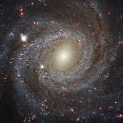 Facing NGC 3344