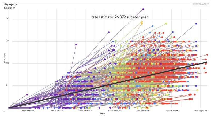 Süregelen COVID-19 pandemisi sırasında izole edilen SARS-CoV-2 (yeni koronavirüs) virüslerinin evrimsel ilişkilerini gösteren bir filogenetik ağaç.