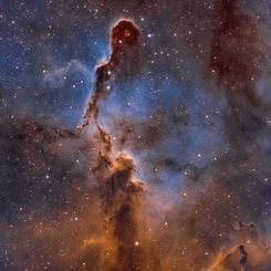  The Elephant's Trunk Nebula in Cepheus 