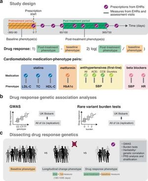 New Insights Into How Genetics Influence Drug Response