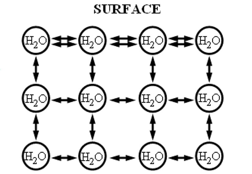Suyun yüzey katmanı haricinde kalan yerlerde su molekülleri üzerindeki net kuvvet sıfırdır. Yüzeydeyse içe doğru bir net kuvvet oluşmaktadır. Bu kuvvet, yüzey gerilimi kuvvetidir.