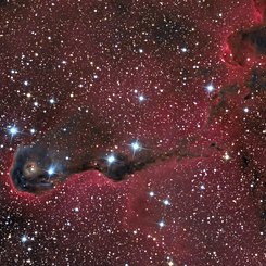  The Elephant's Trunk Nebula in Cepheus 