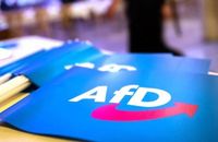 Deaths of AfD candidates for German local elections cause speculation