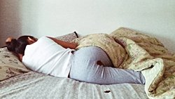 Which Animals Menstruate Other Than Humans?