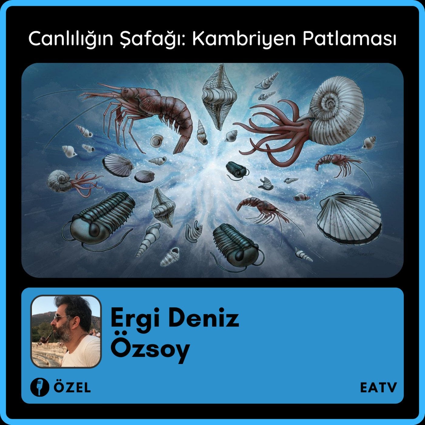 Canlılığın Şafağı: Kambriyen Patlaması