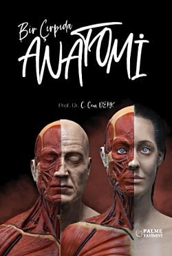 BİR ÇIRPIDA ANATOMİ