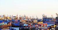 Lâm Đồng: Trung tâm đăng kiểm chưa có con dấu khiến 789 tàu cá không thể đăng kiểm lại