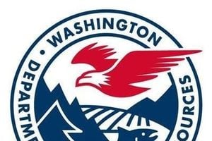 Firefighter Arrests At Washington Wildfire Spark Outrage