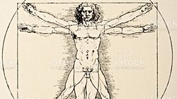Vitruvius Adamı Çizimi