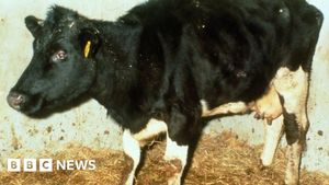 Mad Cow Disease Case Discovered On Scottish Farm