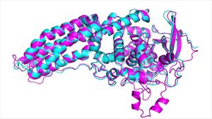 Nobel Prize Honors Groundbreaking Advances In Protein Design