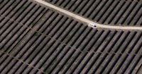 Clean energy investors relieved by Trump tax rule changes