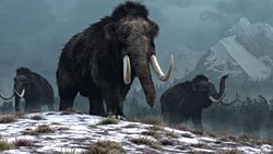 Avrupa'nın İlk İnsanları Muhtemelen 1,1 Milyon Yıl Önce Ani Bir Donma Sonucu Yok Oldu.