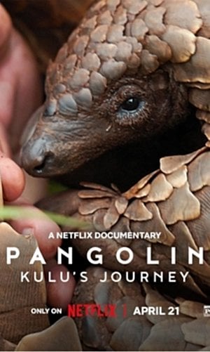 Pangolin: Kulu'nun Yolculuğu