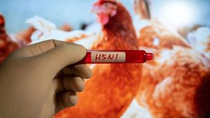 Bird Flu Outbreaks Surge Across California