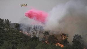 Wildfires Near Jerusalem Prompt National Emergency Declaration