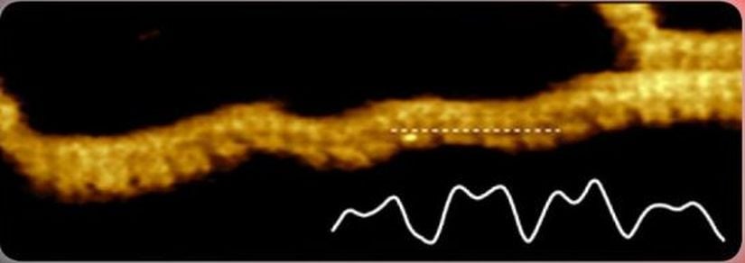 DNA'nın Yüksek Çözünürlüklü AFM Fotoğrafı (2015)