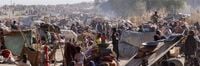 UN urges immediate ceasefire as El Fasher faces deepening humanitarian catastrophe