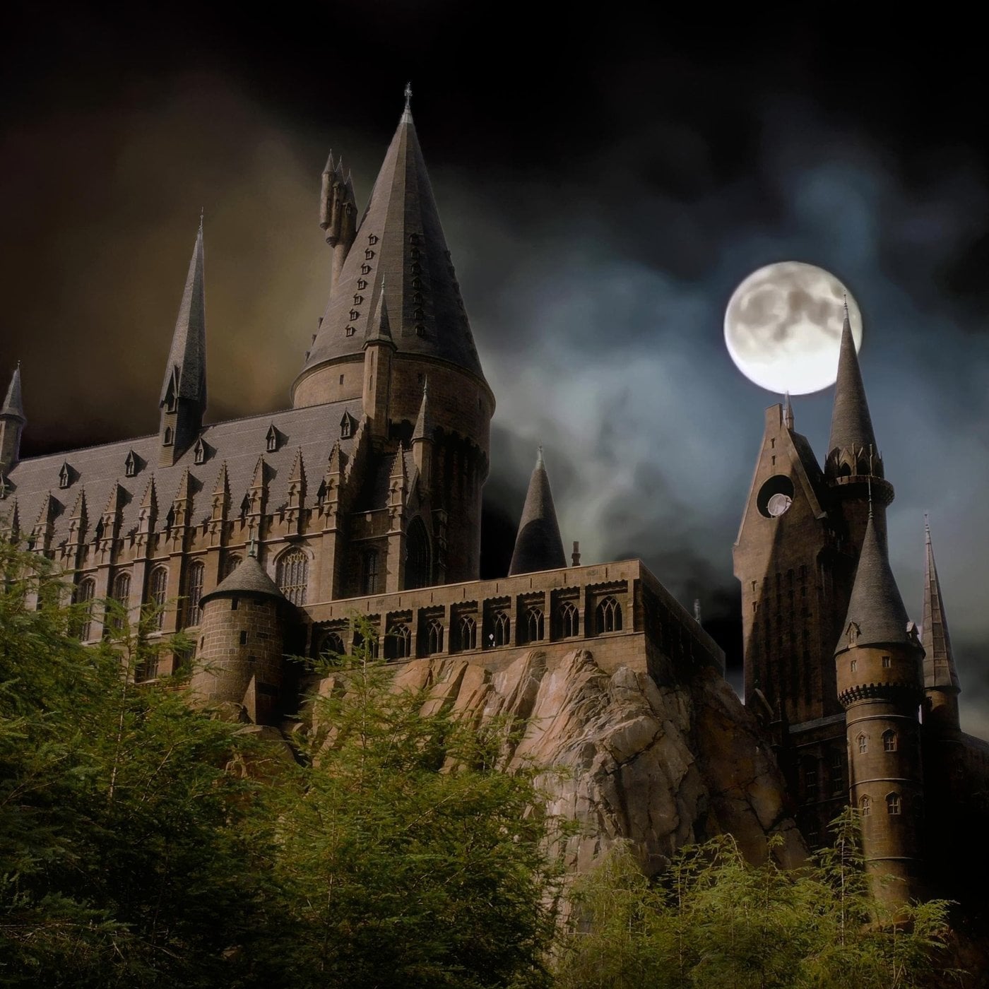 Evrim Ağacı ile Bilime Dair Her Şey!