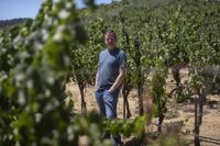 Some California winemakers don’t want tariffs on their European competitors. Here’s why • The Mendocino Voice | Mendocino County, CA