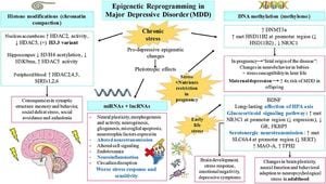 New Insights Into Major Depressive Disorder Highlight Metabolic Dysregulation