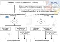Development and validation of predictive models for distant metastasis and prognosis of gastroenteropancreatic neuroendocrine neoplasms - Scientific Reports