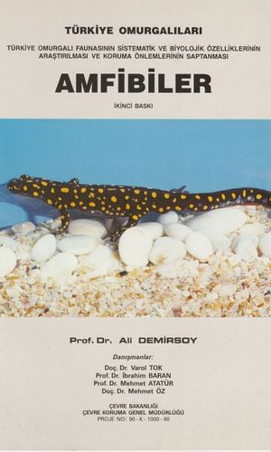 Amfibiler