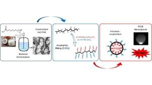 Innovative Imaging Technique Revolutionizes Data Storage Solutions