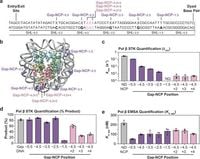 Structural basis of gap-filling DNA synthesis in the nucleosome by DNA Polymerase β - Nature Communications